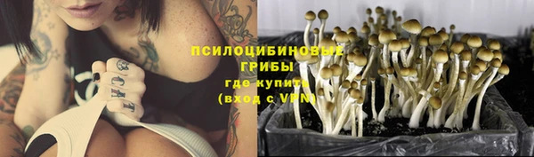 ALPHA-PVP Магас