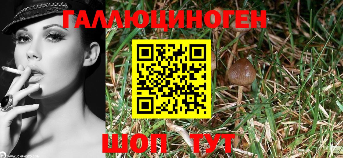 Галлюциногенные грибы мицелий Екатеринбург