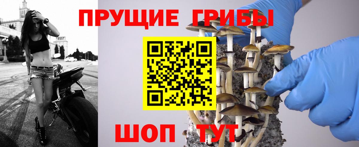 Екатеринбург  Галлюциногенные грибы Cubensis  Галлюциногенные грибы прущие грибы  где купить наркоту  Вход с VPN 