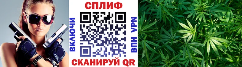 Конопля сатива  Екатеринбург 
